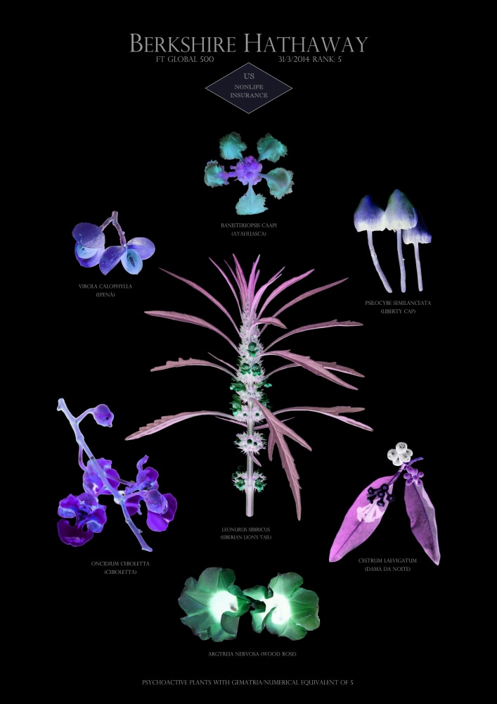 Suzanne Treister, HFT The Gardener/Botanical Prints / Rank 5: Berkshire Hathaway - US - Nonlife insurance, 2014-15