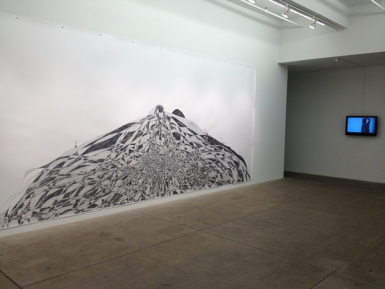 Tony Orrico, Petrified Acts, install 6