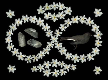 Portia Munson, Narcissus Infinity, 2009