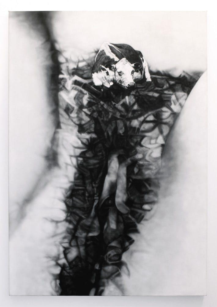 Betty Tompkins
Cow Cunt #1, 1976
acrylic on canvas
84 x 60 ins.
213.4 x 152.4 cm