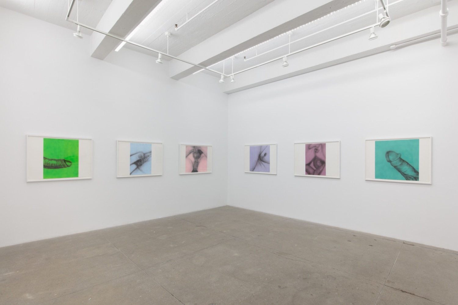 Betty Tompkins, Virgins, install 9