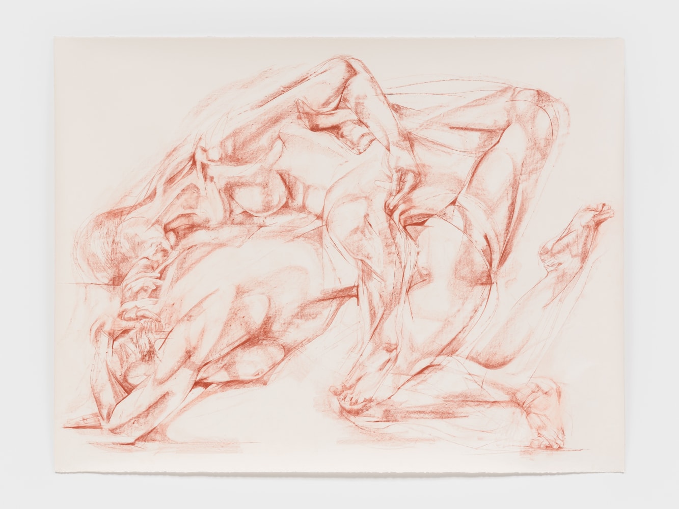 Grace Carney
Drawing XX, 2025
sanguine crayon on paper
51 7/8 x 68 ins.
131.8 x 172.7 cm