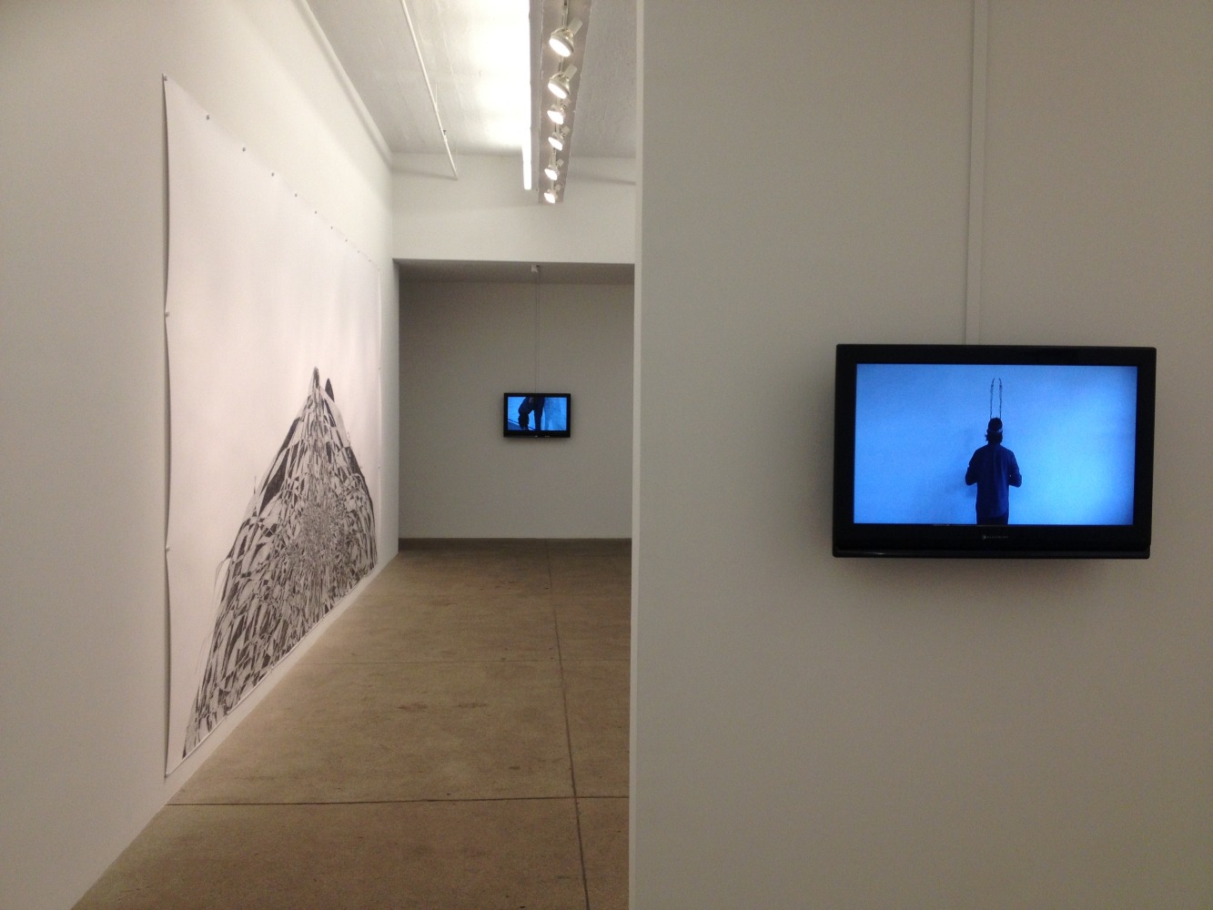 Tony Orrico, Petrified Acts, install 3