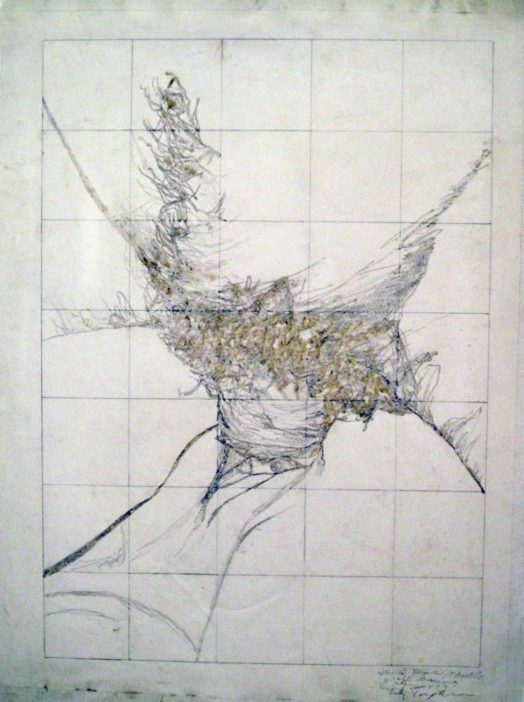 Betty Tompkins, Flexible Shaft #3, 1973