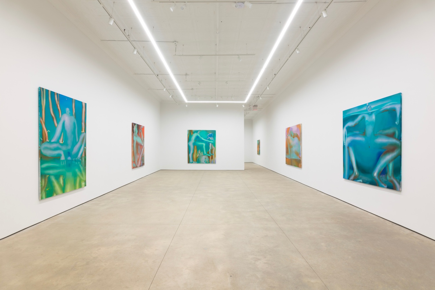 Elizabeth Glaessner, Phantom Tail install 7