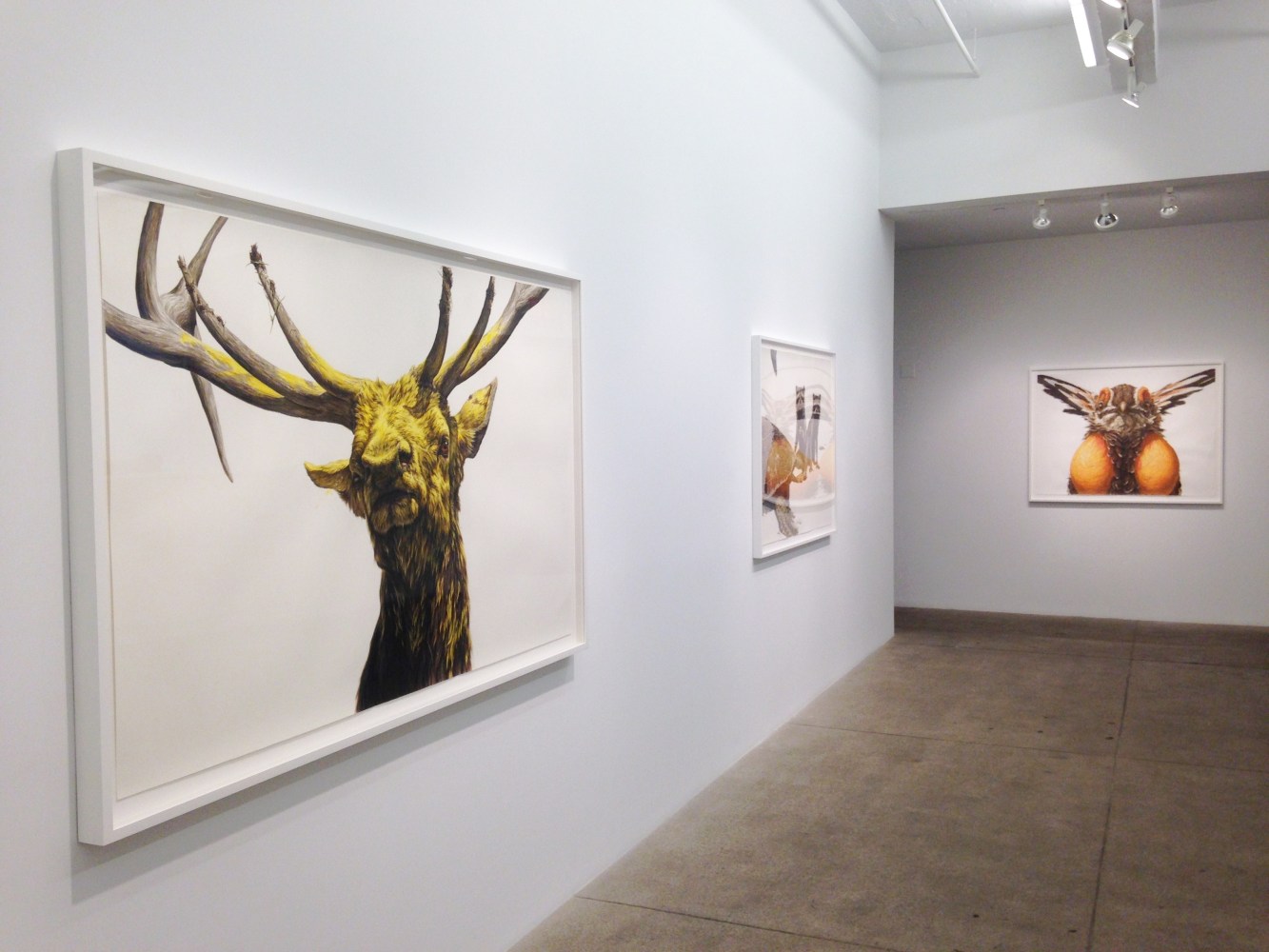 George Boorujy, Passenger install 1