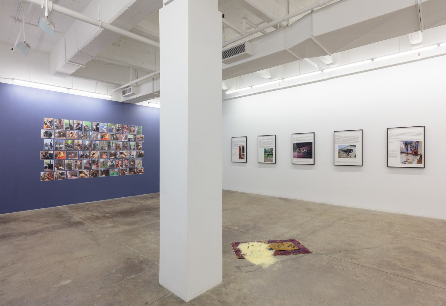 Carolee Schneeman, Tooth and Paw install 2