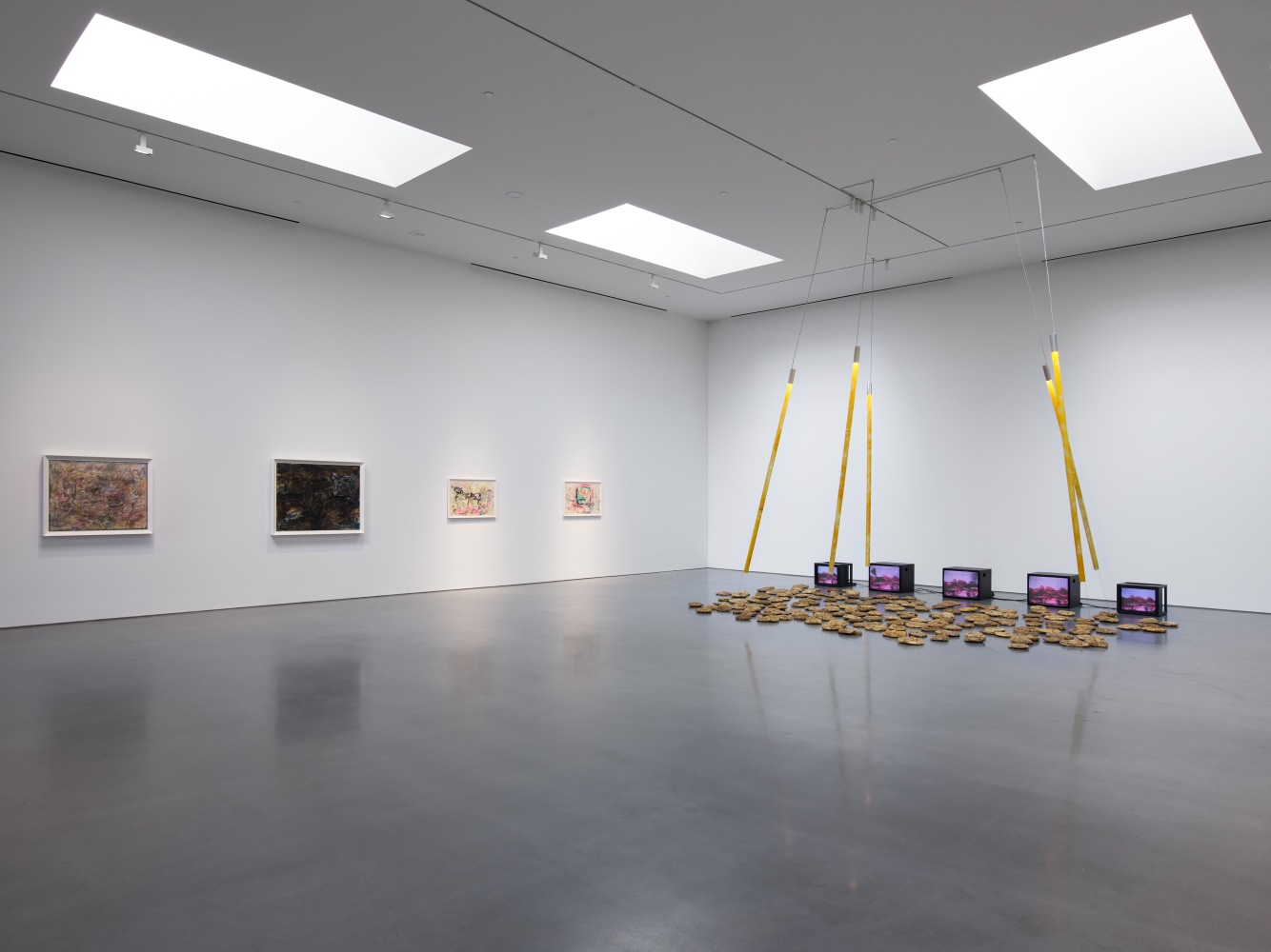 Carolee Schneemann (Installation View) Lisson Gallery, Los Angeles, CA, April 11 &amp;ndash; May 24, 2025