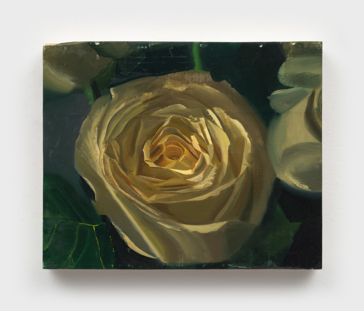Phoebe Helander
Cold rose in a warm room,&amp;nbsp;2024
oil on wood
12 1/8 x 15 x 1 3/4 ins.
30.8 x 38.1 x 4.4 cm