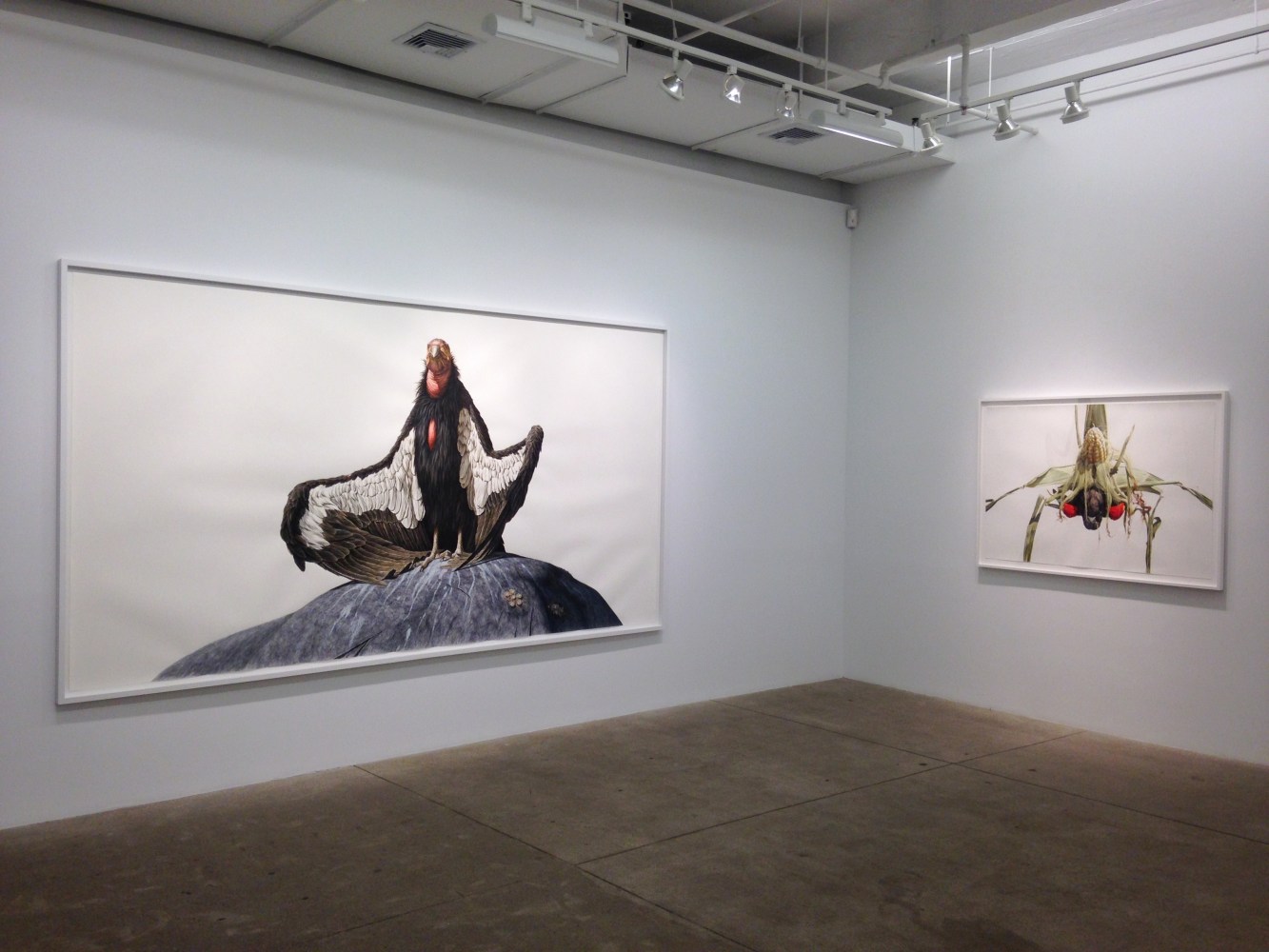 George Boorujy, Passenger install 6