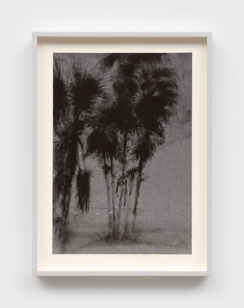 Paul P.
Untitled, 2010
lithograph
12 x 8 1/4 ins.
30.5 x 21 cm
&amp;nbsp;