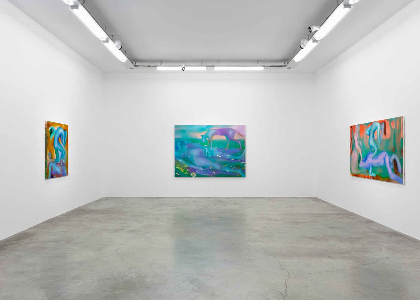 Elizabeth Glaessner, Dead Leg, installation view 2
