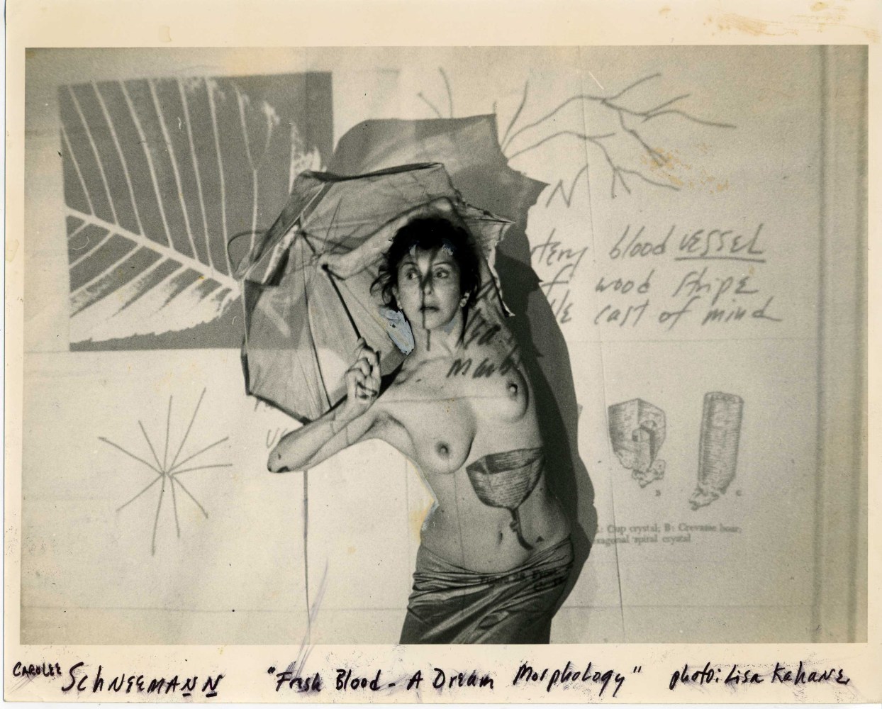 Carolee Schneemann, Fresh Blood - A Dream Morphology, 1981-86