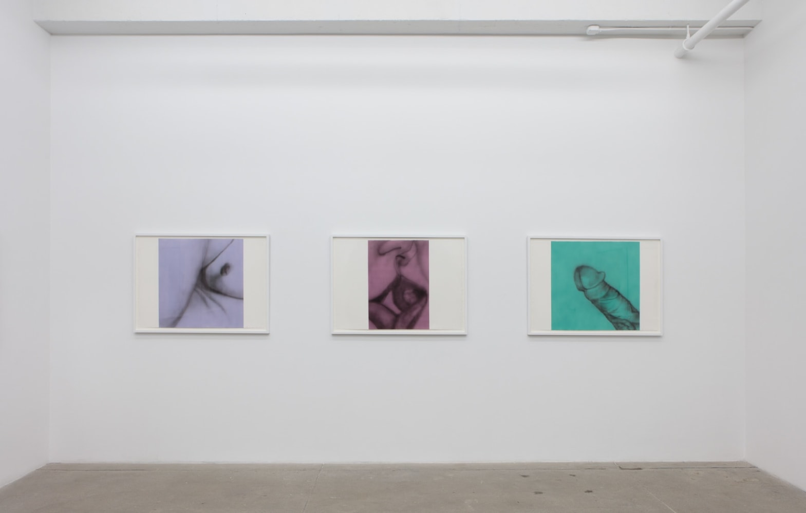 Betty Tompkins, Virgins, install 7