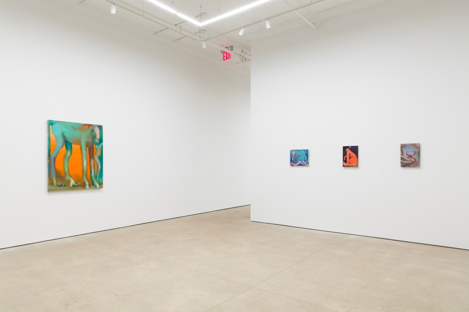 Elizabeth Glaessner, Phantom Tail install 2