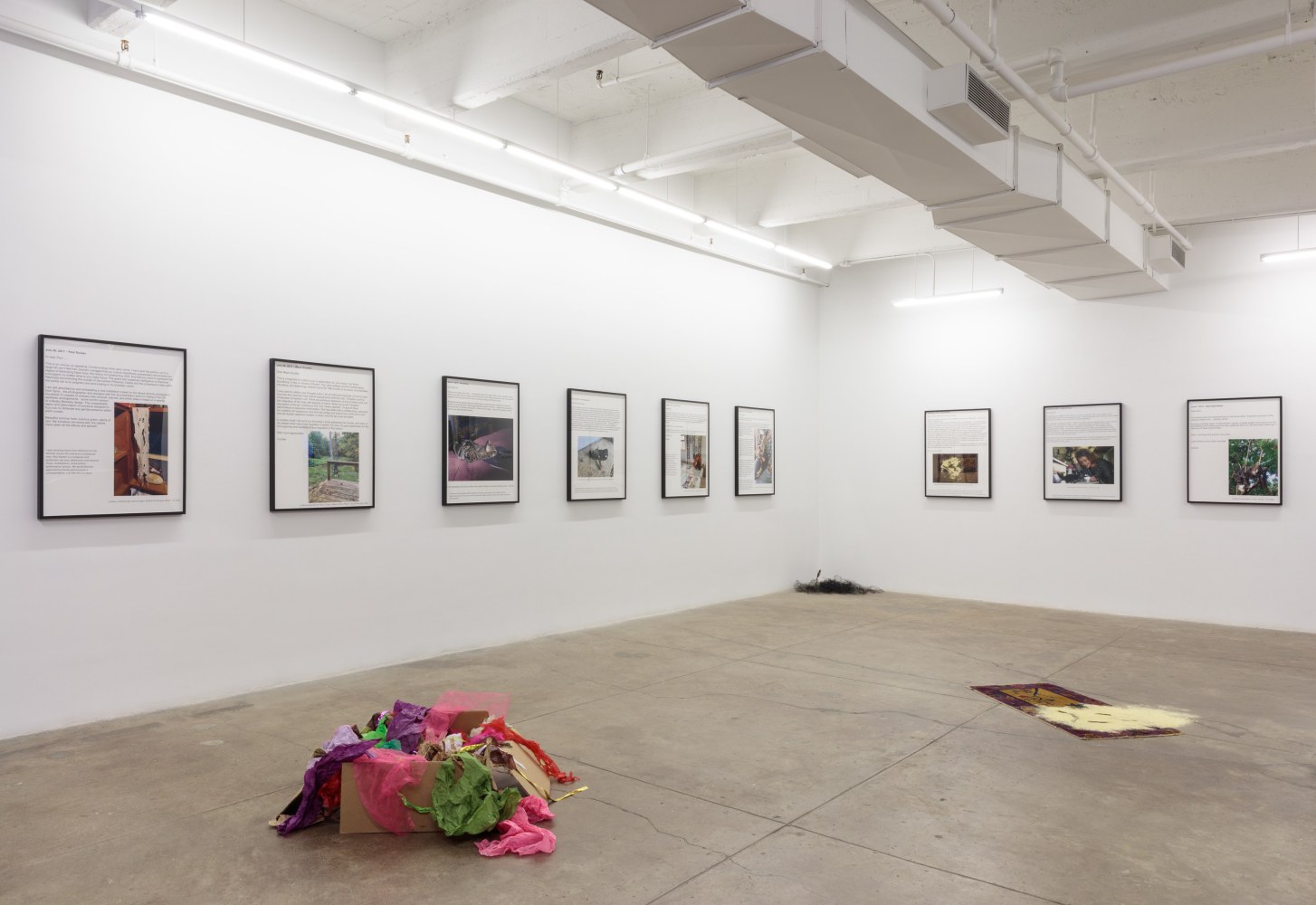 Carolee Schneeman, Tooth and Paw install 4