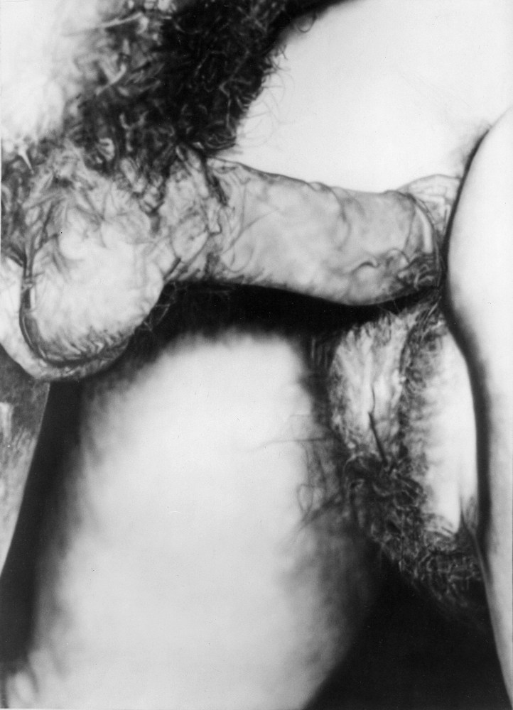 Betty Tompkins
Fuck Painting #6, 1973
acrylic on canvas
84 x 60 ins.
213.4 x 152.4 cm