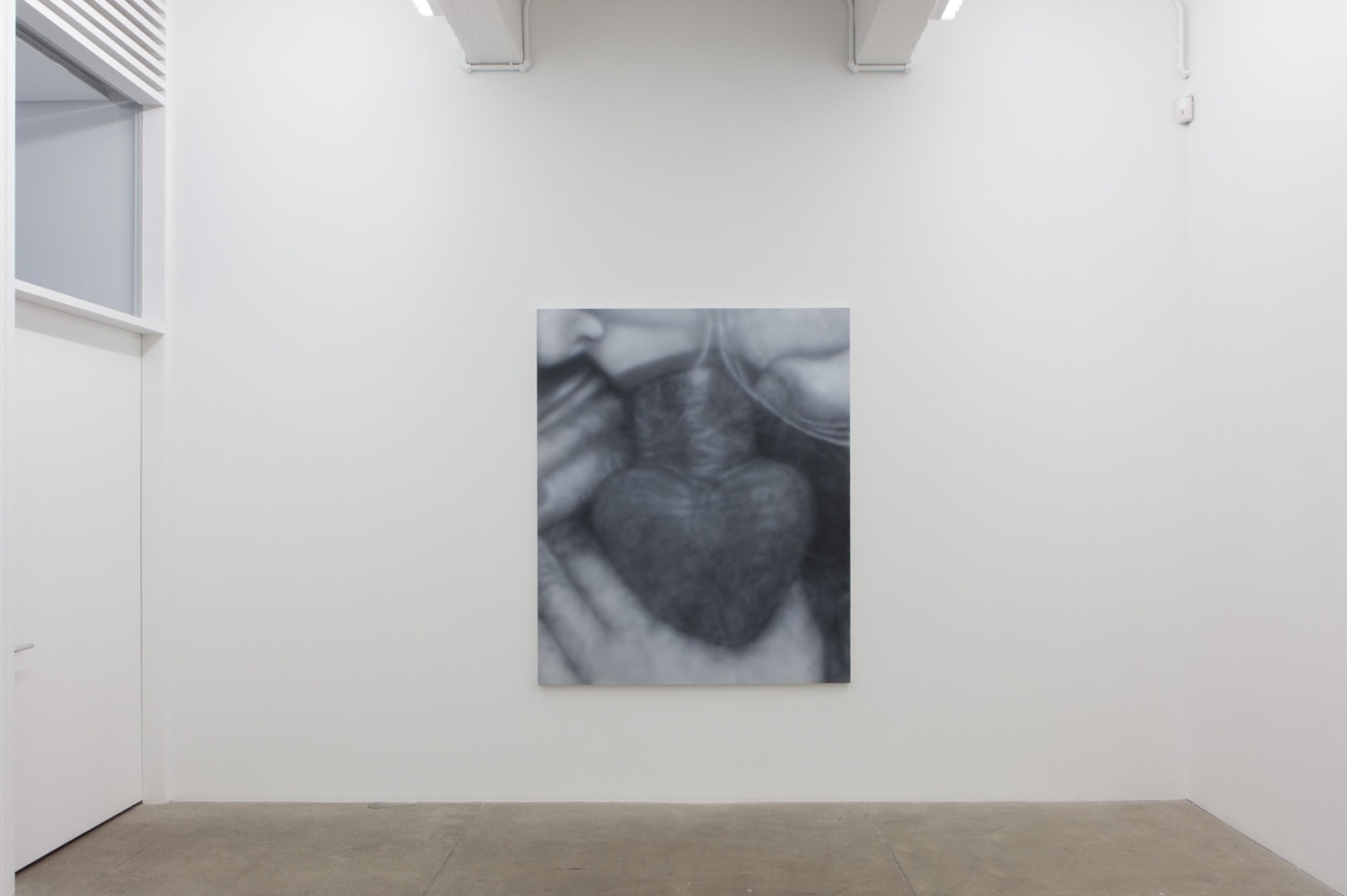 Betty Tompkins, Virgins, install 4