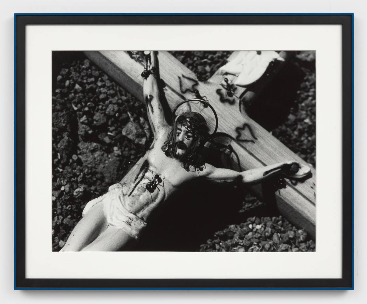 David Wojnarowicz
Untitled (Spirituality), from the Ant Series, 1988-89
gelatin silver print
16 x 20 ins.
40.64 x 50.8 cm
