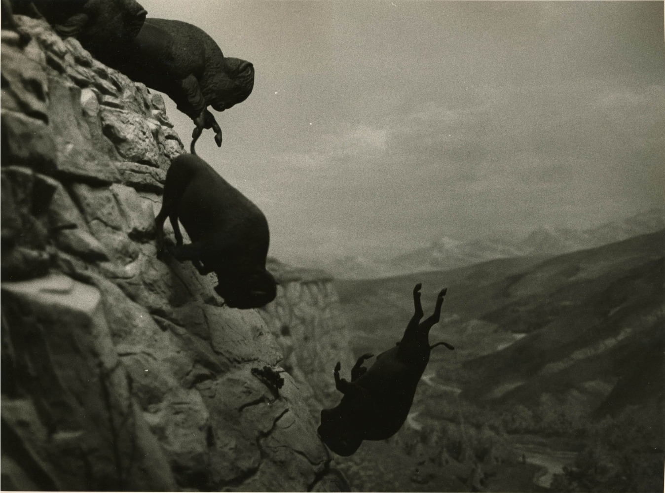 David Wojnarowicz, Untitled (Falling Buffalos), 1988-89