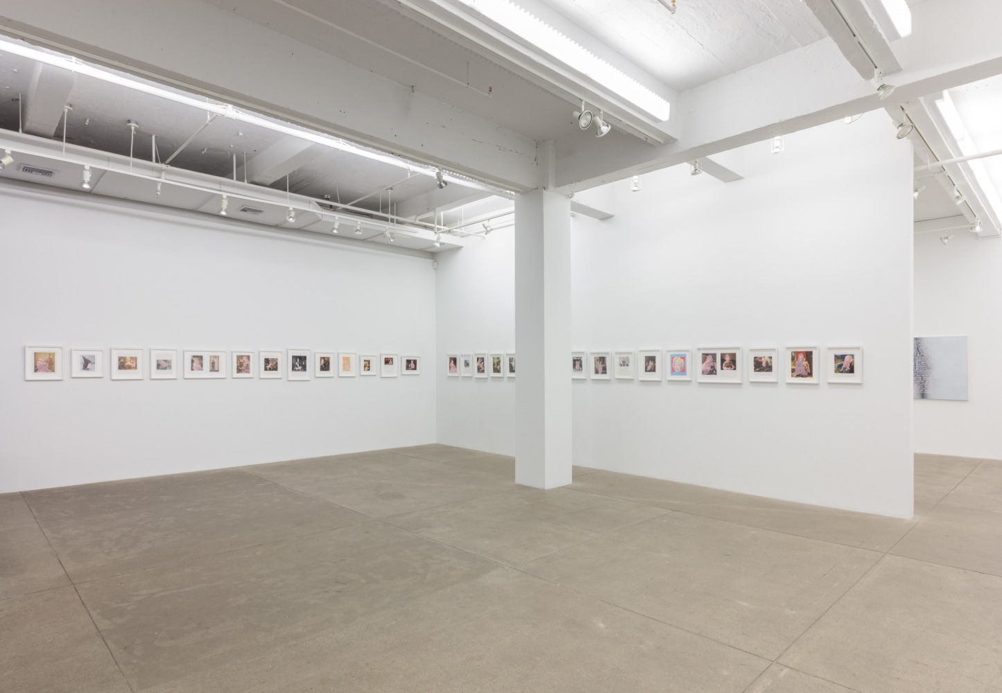 Betty Tompkins, Will She Ever Shut Up? install 4