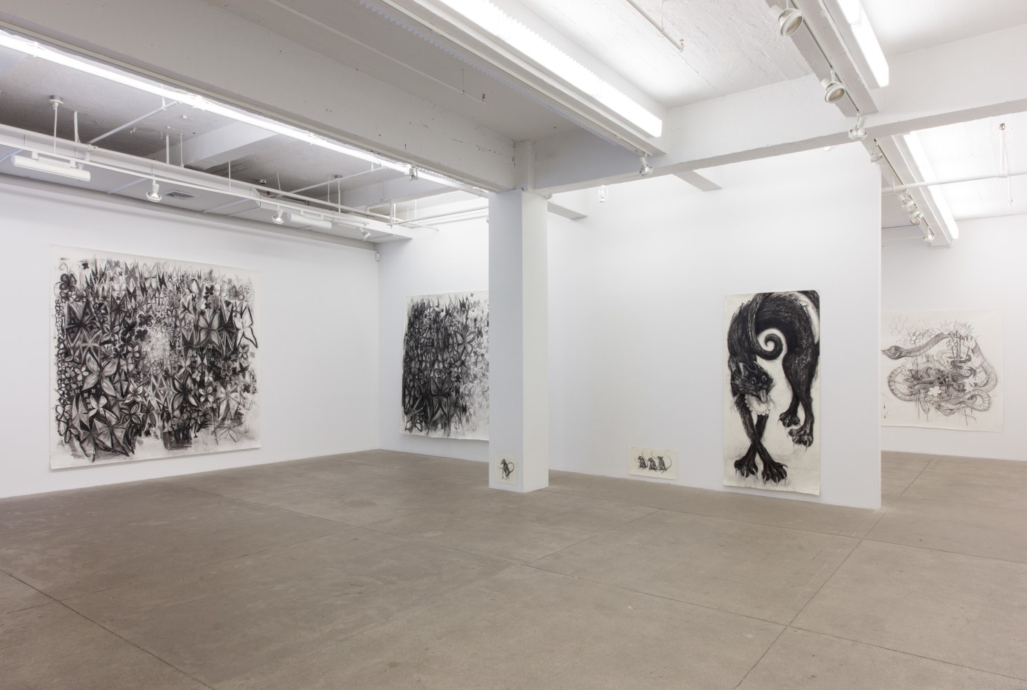 Aurel Schmidt, I Rot Before I Ripen install 5