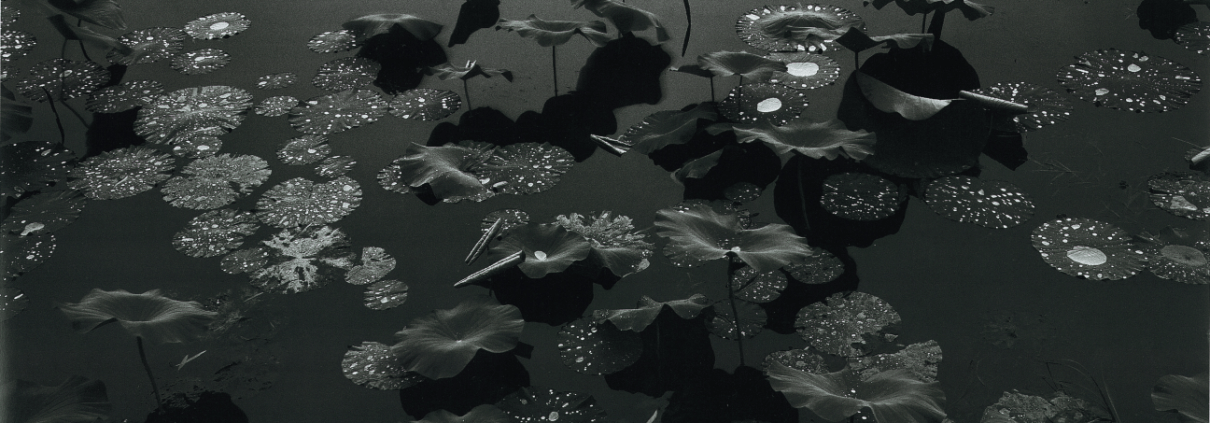 Metropolitan Museum of Art