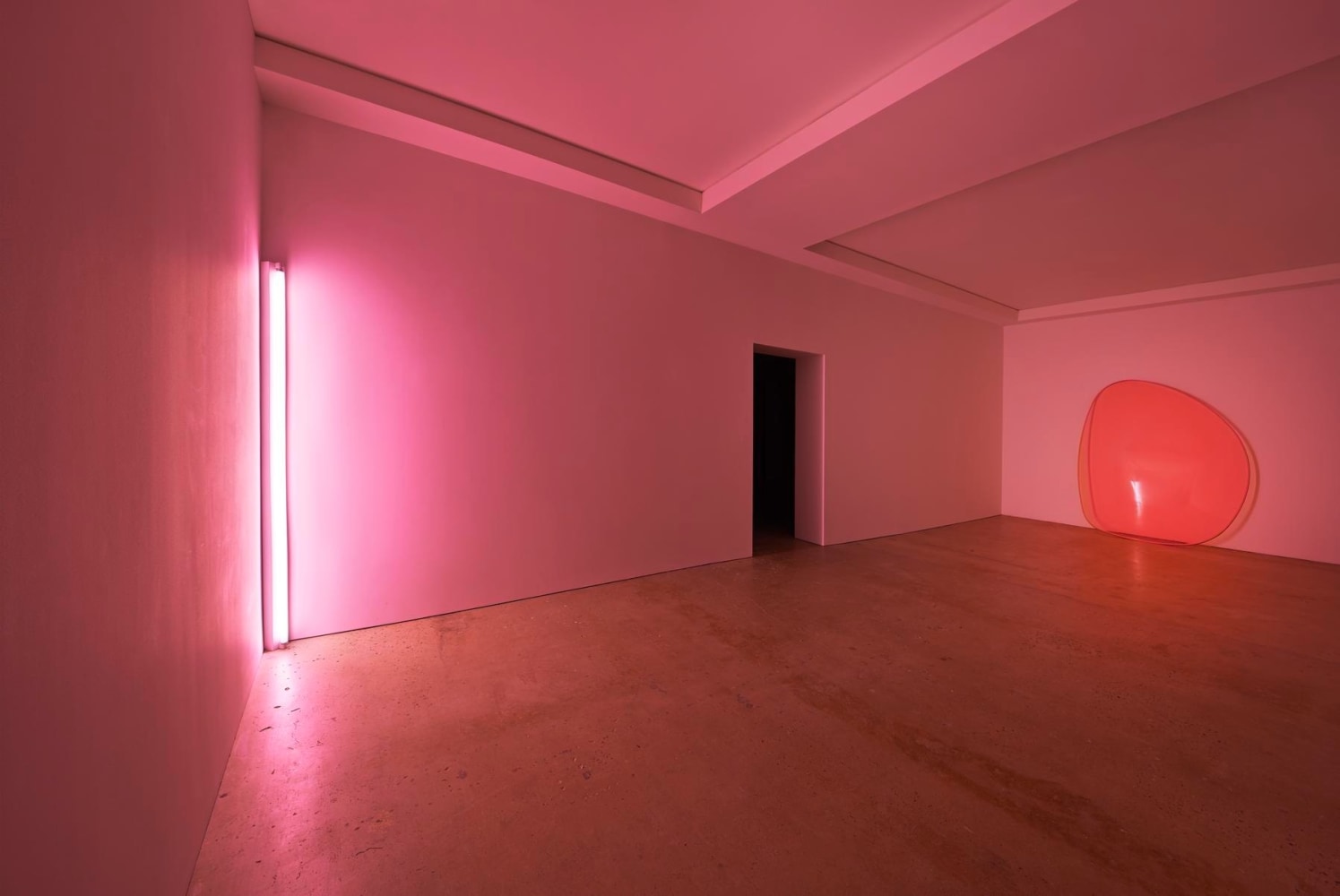Nahmad Contemporary, Dan Flavin and Alex Israel, Installation View 2