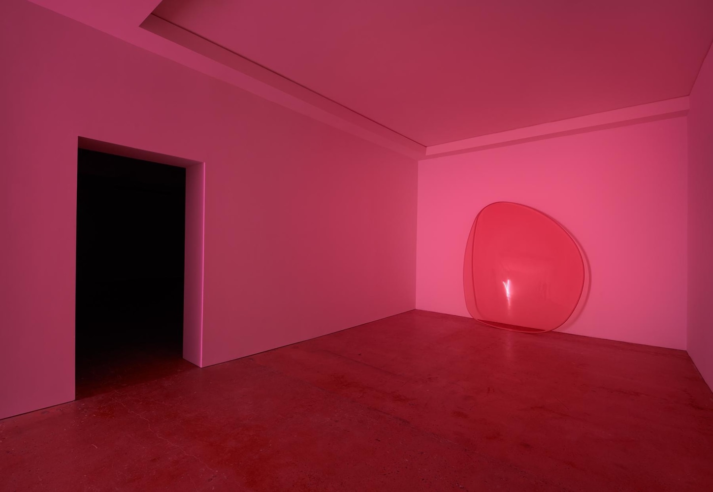 ALEX ISRAEL Lens, 2013