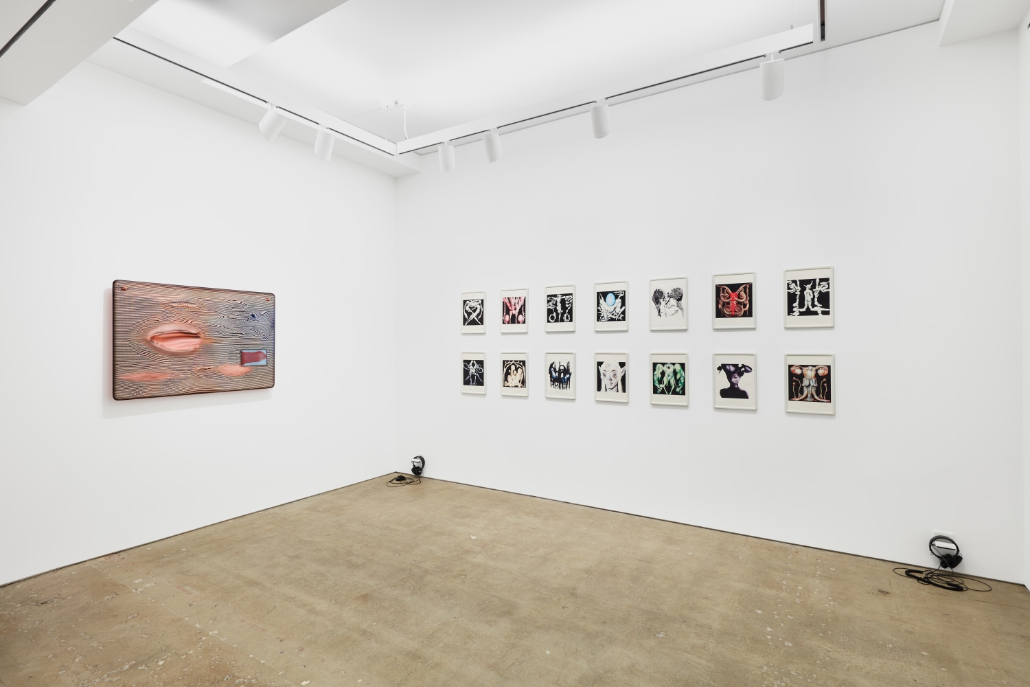 Installation view, Nahmad Contemporary. Photography by Tom Powel Imaging.&amp;nbsp;