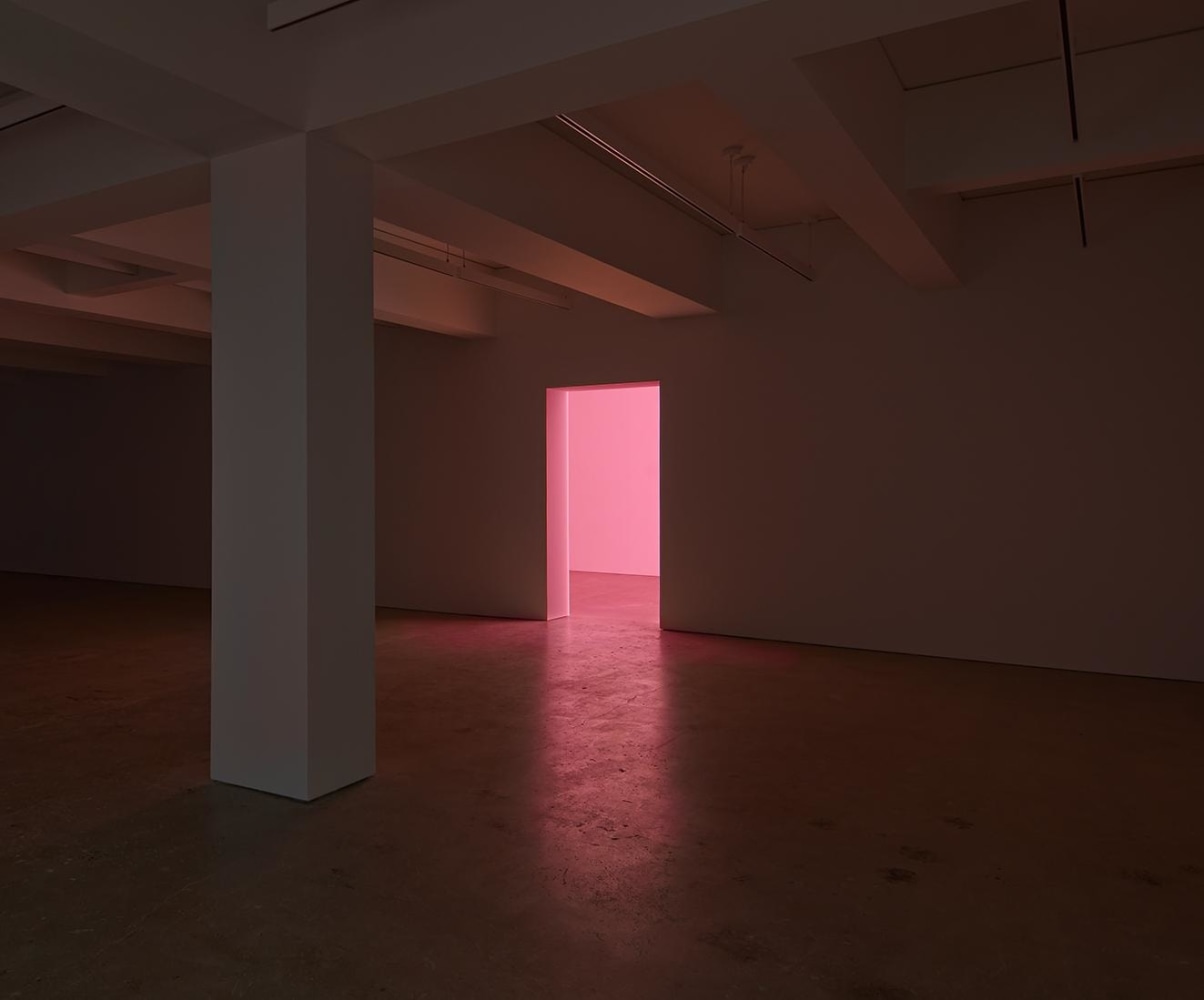 Nahmad Contemporary, Dan Flavin and Alex Israel, Installation View 1