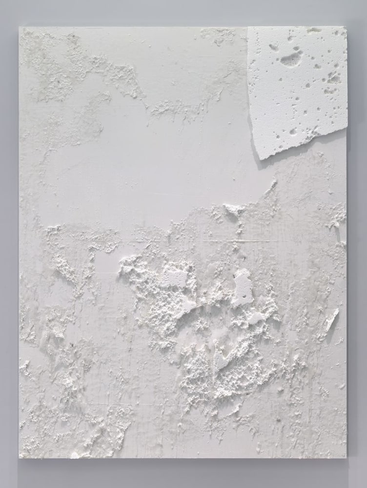 Joseph Nahmad Contemporary _ Rudolf Stingel _ 2000-2003