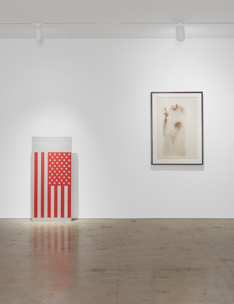 Installation view, Nahmad Contemporary. &amp;copy; Cady Noland &amp;copy; David Hammons. Photography by Tom Powel Imaging.&amp;nbsp;