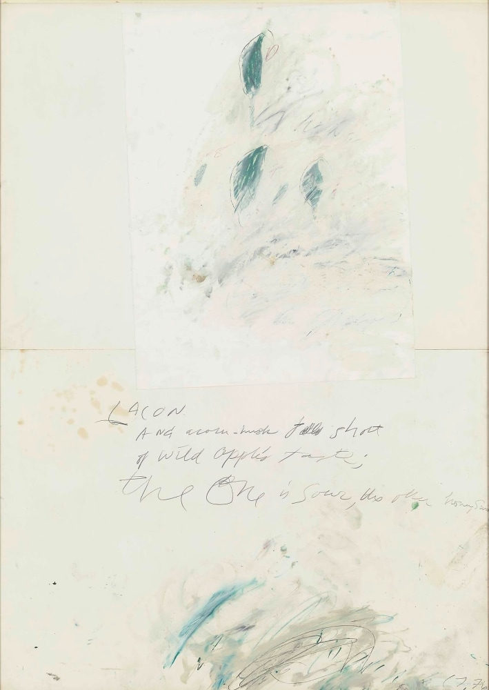 CY TWOMBLY
Untitled,&amp;nbsp;1976
Graphite, oil, pastel and paper on two sheets of card
55.2 x 39.3 inches / 140.2 x 99.8 cm