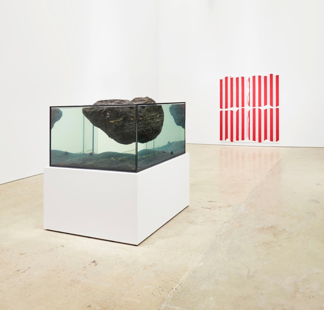 Pierre Huyghe,&amp;nbsp;Cambrian Explosion, 2013, Image courtesy of the artist; Marian Goodman Gallery, New York; Esther Schipper, Berlin; Hauser &amp;amp; Wirth, London; Galerie Chantal Crousel, Paris. || Daniel Buren, Photo-souvenir:&amp;nbsp;Variable Forms Painting,&amp;nbsp;[January-May] 1966, Image courtesy of the artist and Bortolami, New York.
Photographs by Tom Powel Imaging
