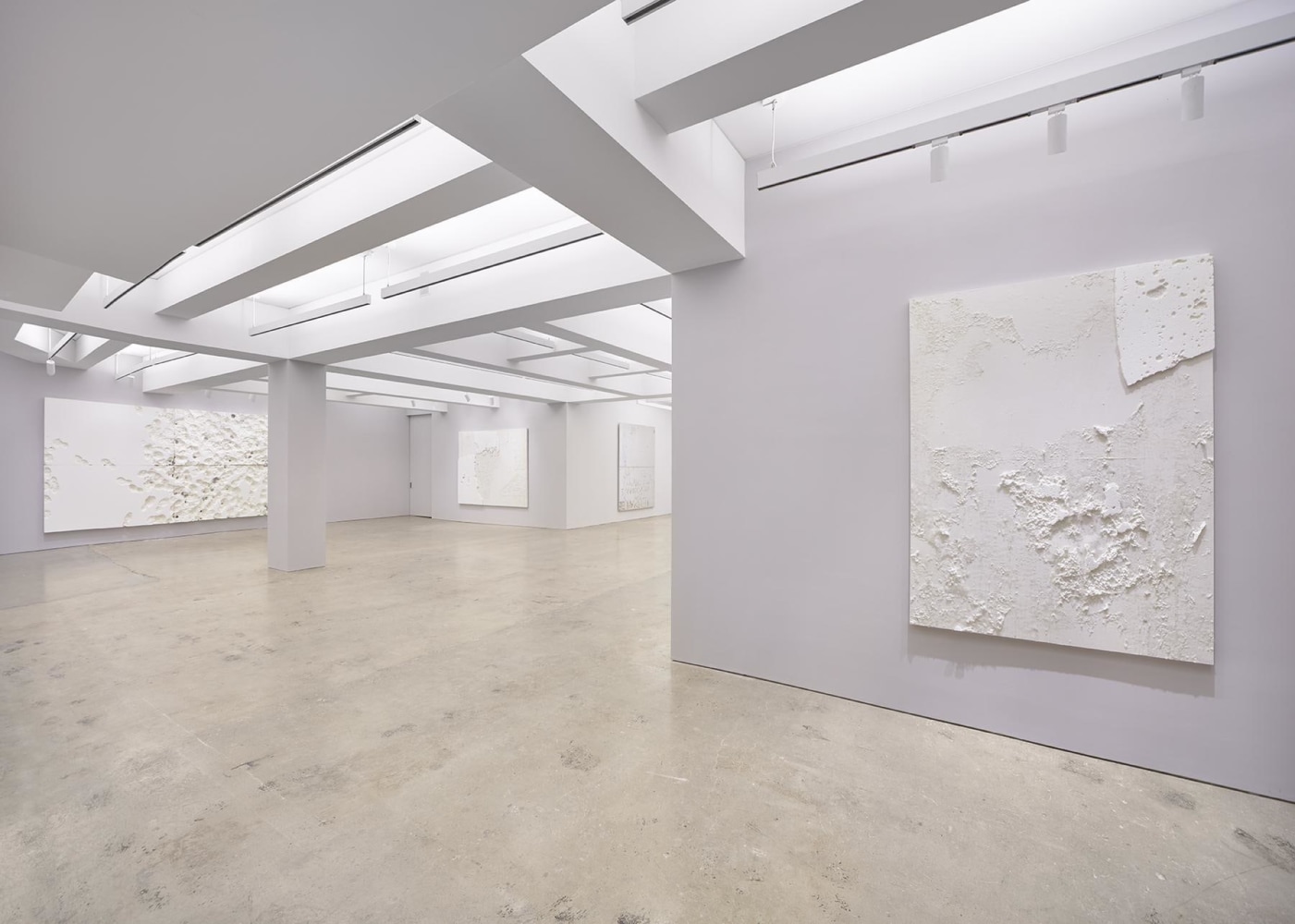 Installation view, Nahmad Contemporary. Photographs by Tom Powel Imaging
