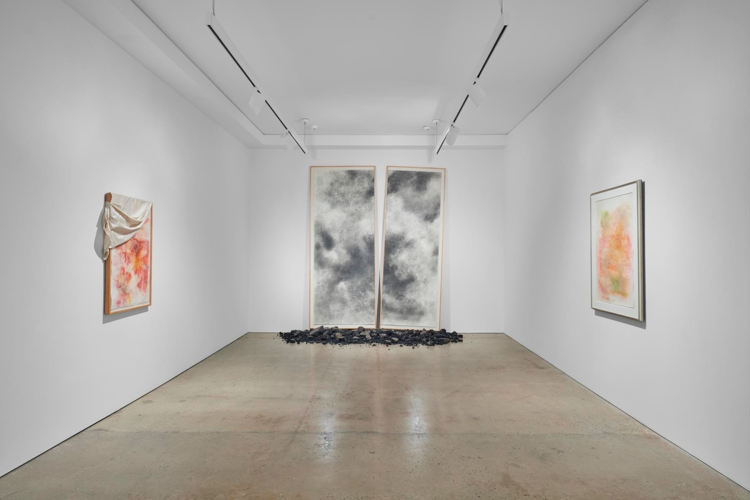 Installation view, Nahmad Contemporary. Photography by Tom Powel Imaging.

&amp;copy; David Hammons