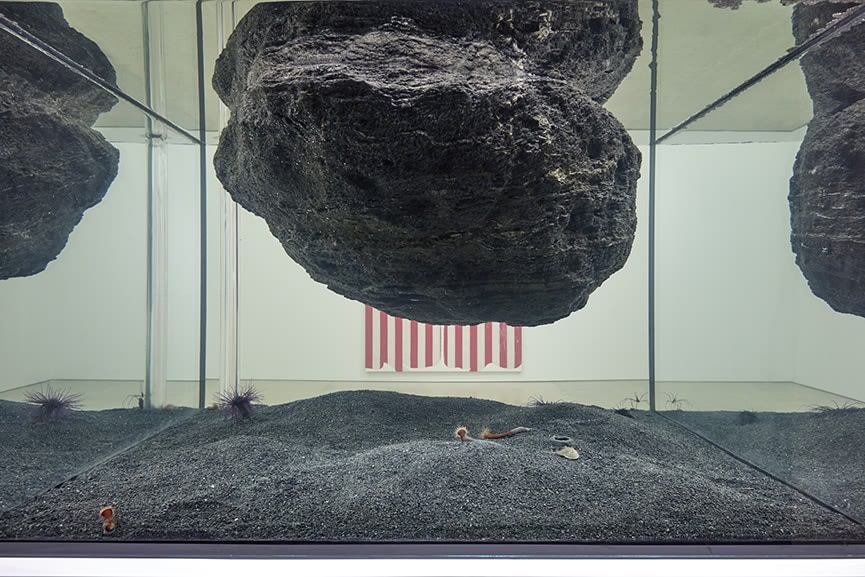 Daniel Buren | Pierre Huyghe