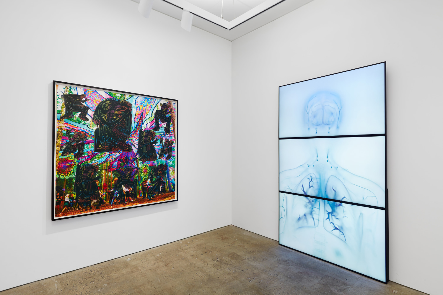 Installation view, Nahmad Contemporary. Photography by Tom Powel Imaging.&amp;nbsp;