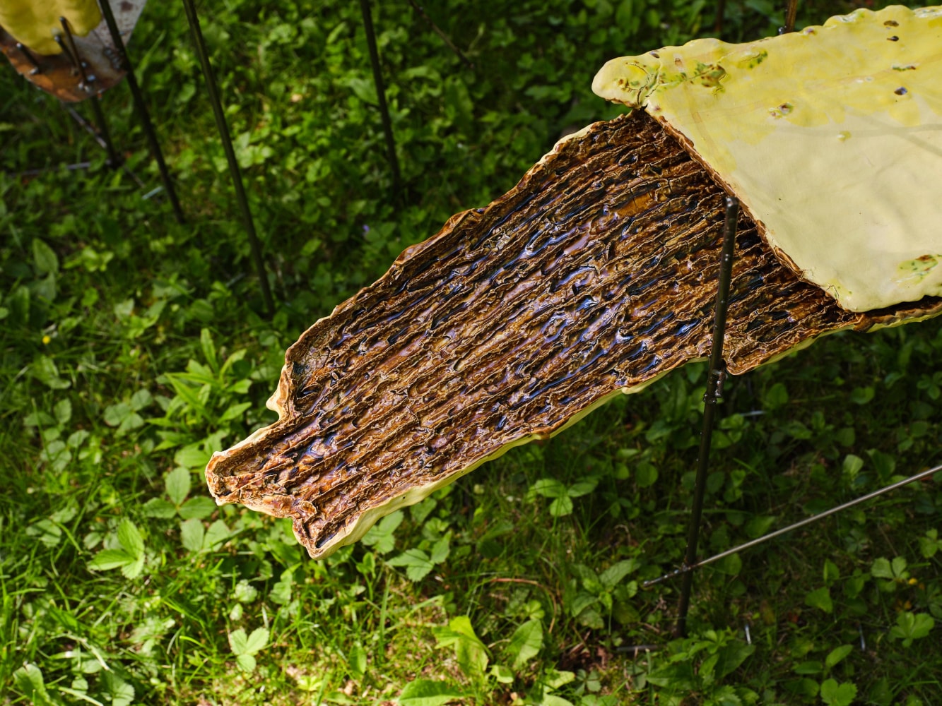 River Valley Arts Collective: Linn&eacute;a Gad