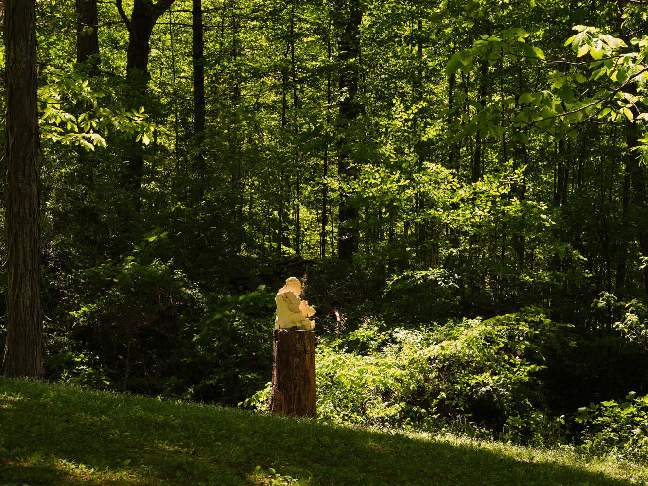 River Valley Arts Collective: Linn&eacute;a Gad