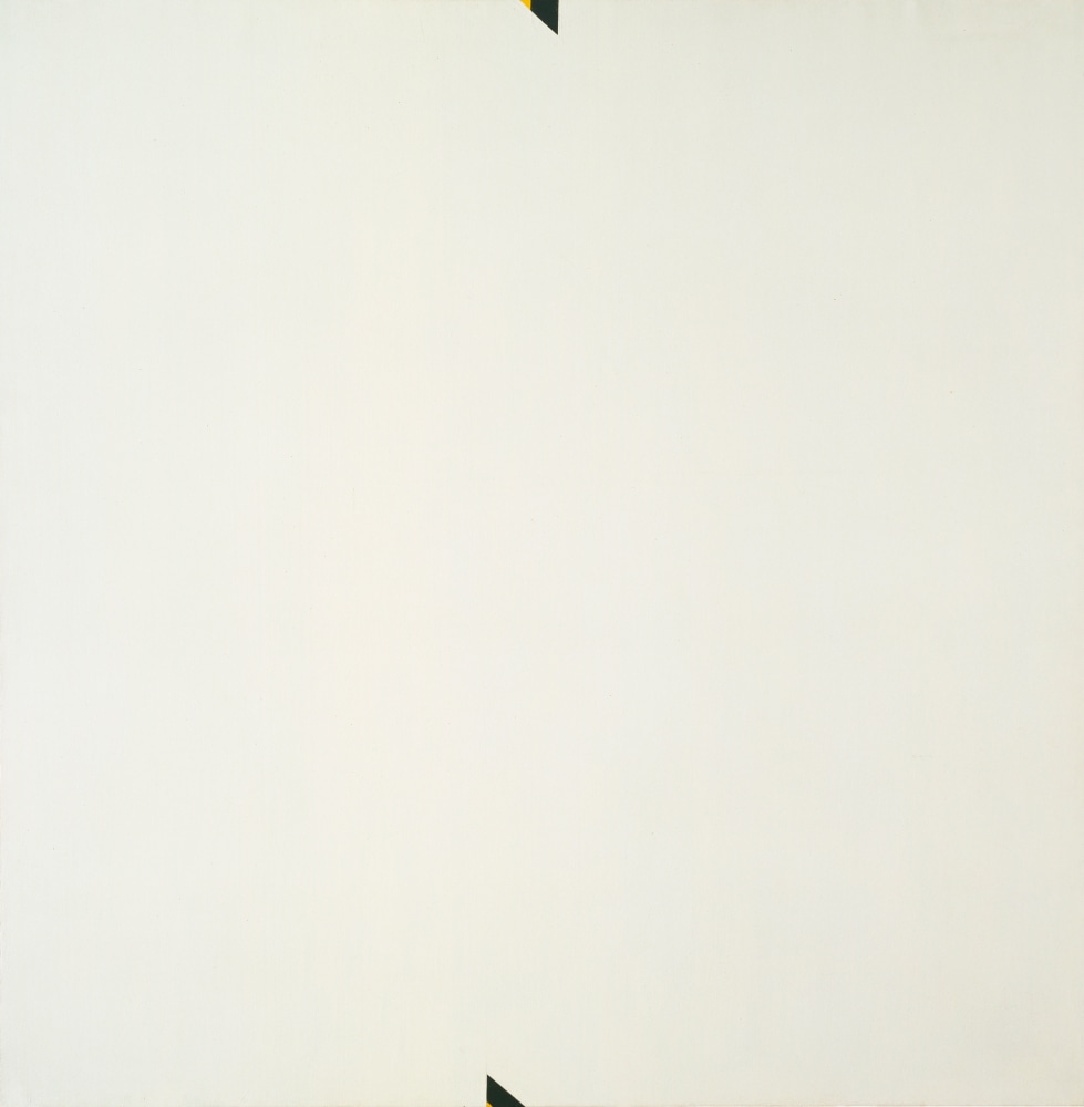 The Big N

1964-1966

Acrylic on canvas

108 3/4 x 108 inches

Collection of the Museum of Modern Art, New York