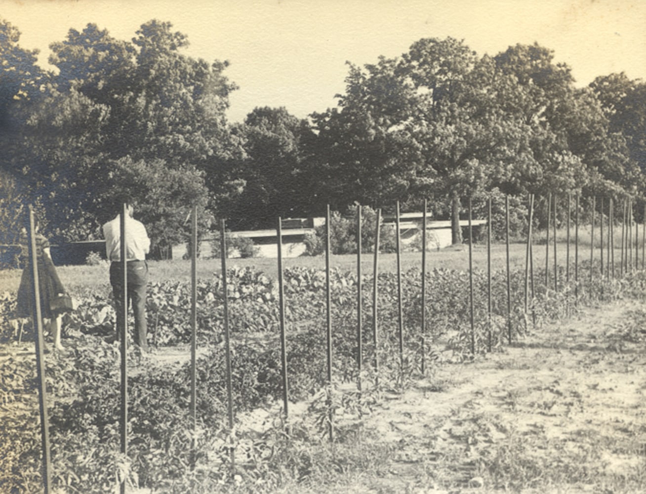 Exterior view, early 1940s