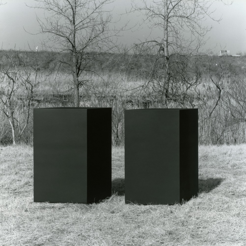 For W.A.
Welded bronze, black patina
2 units, overall: 5 ft. &amp;times; 11 ft. &amp;times; 33 in. (152.4 &amp;times; 335.3 &amp;times; 83.8 cm), edition 2/6
Private collection
Dedication: Webster Anderson