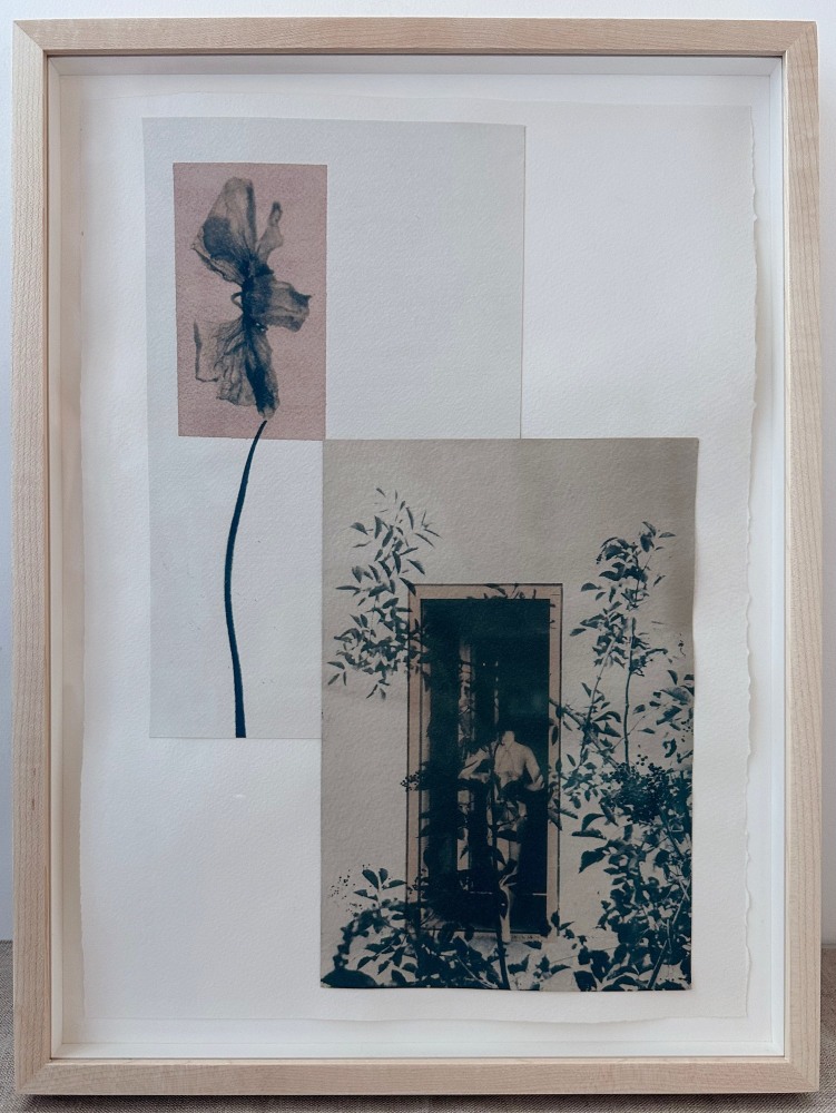 photo collage with a poppy flower and a woman entering a doorway