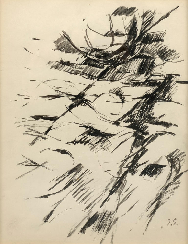 black and white drawing with lines that looks like the side of a tree