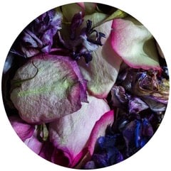 up close photo of dried flowers