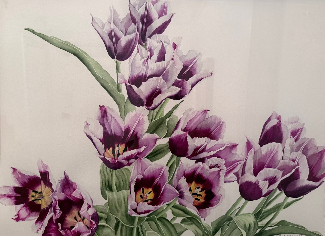 watercolor of purple tulips