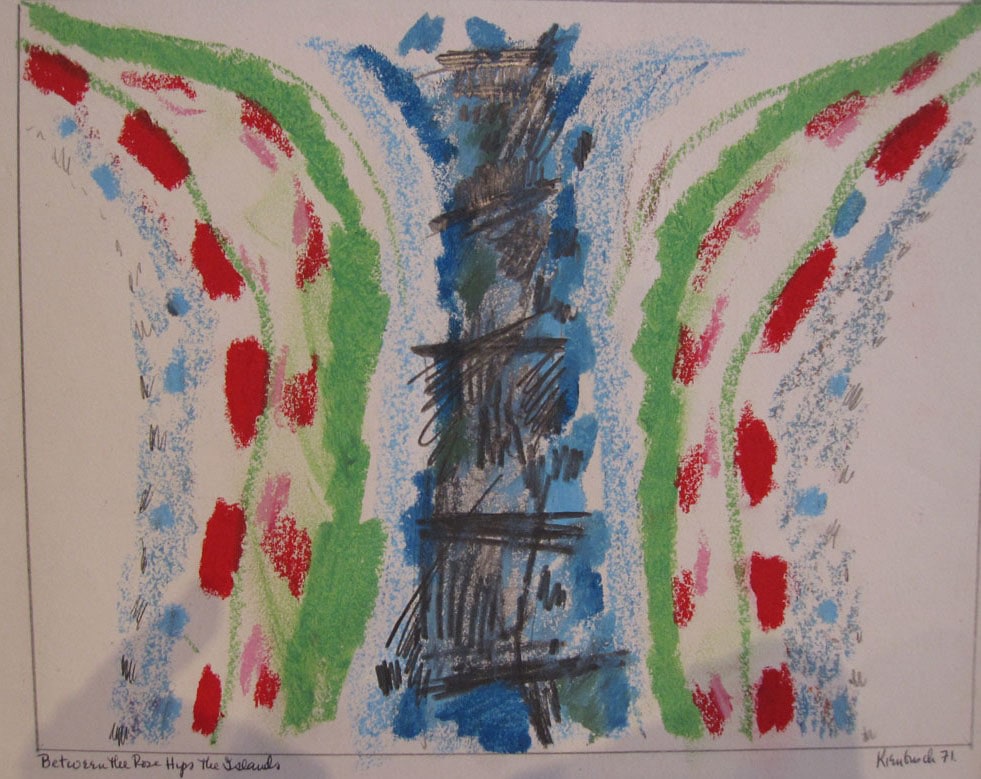 abstract view between rose hip bushes to islands in the water in Maine