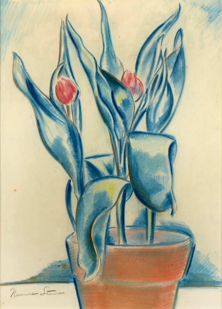 watercolor of tulip plant in a terracotta planter against a plain background